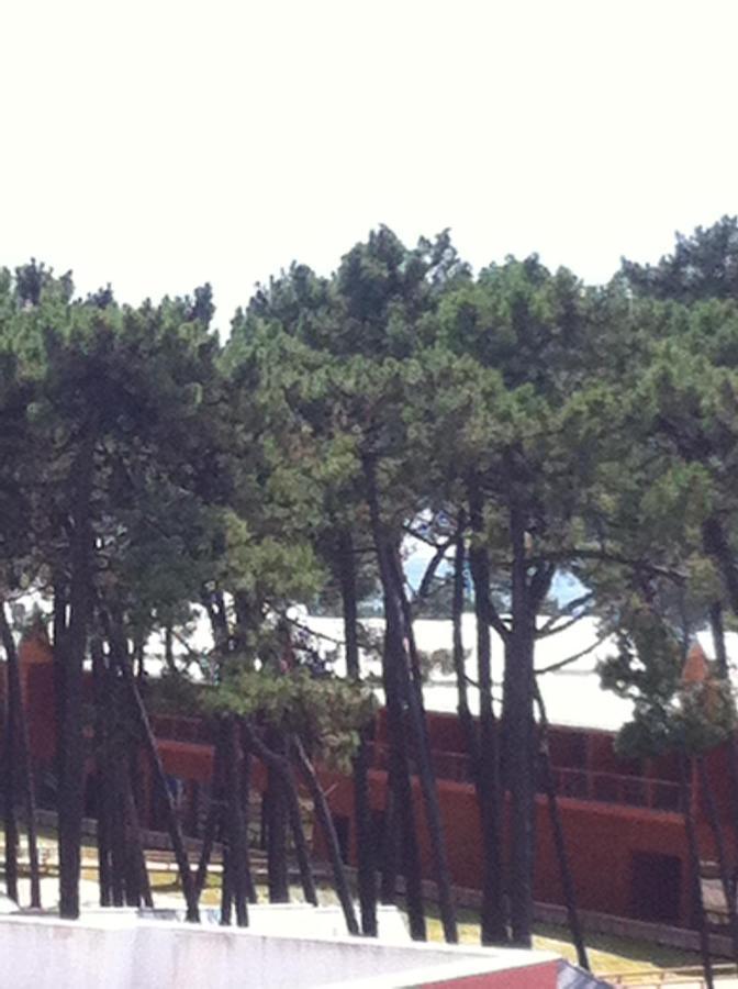 Beach House Cabedelo Viana do Castelo Exteriör bild